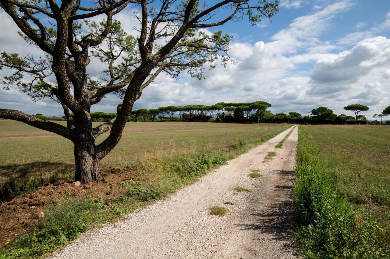 Tenuta Capizucchi Rom Exterior foto