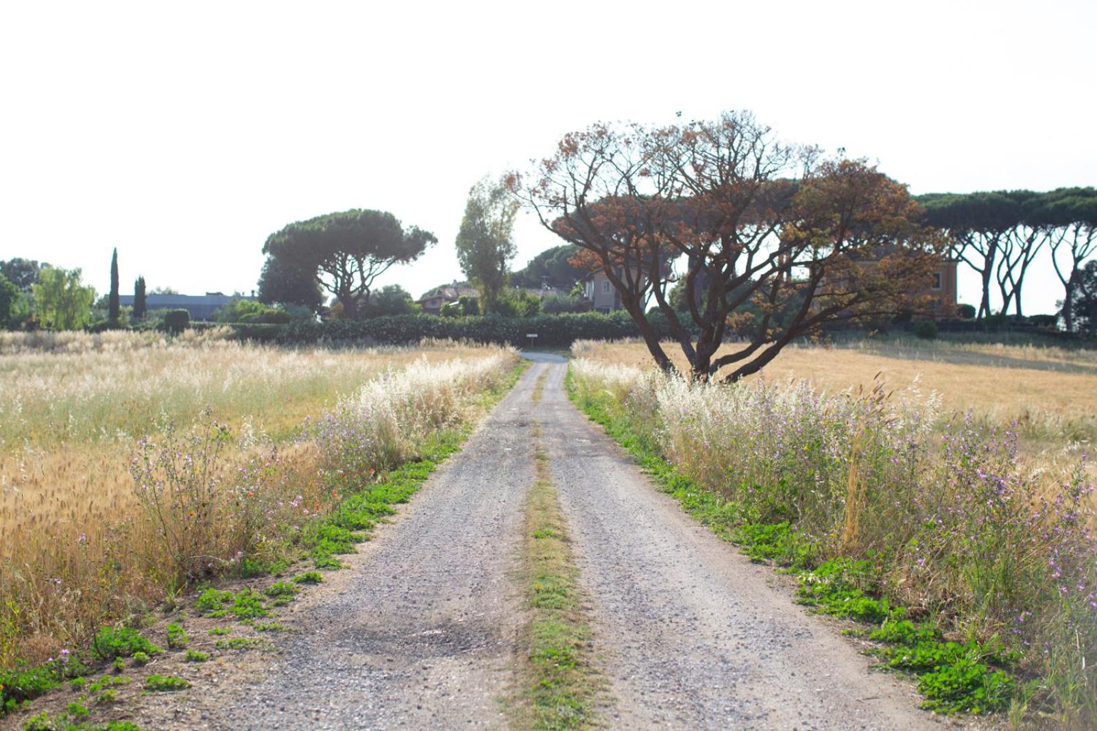 Tenuta Capizucchi Rom Zimmer foto